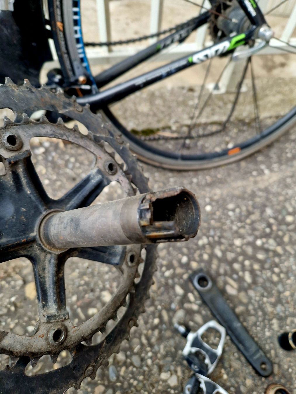 Felt Velos: Rennvelo – Defekt aus Kestenholz von studer92 2