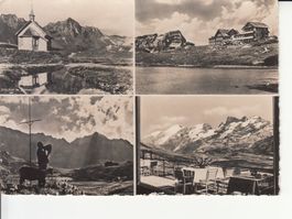 Frutt 1950