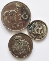 3 x Zambia
