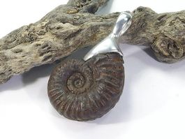 Ammonit Anhänger, 925 Silber, 38mm, Nr.14