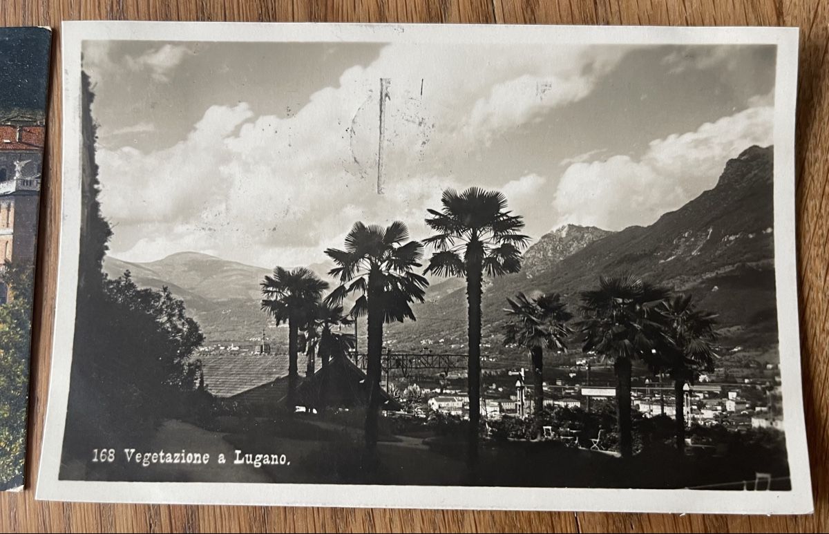 Cartoline postali: Ansichtskarten Tessin Lugano – Usato da Waldstatt venduto da Cremschnitte 5