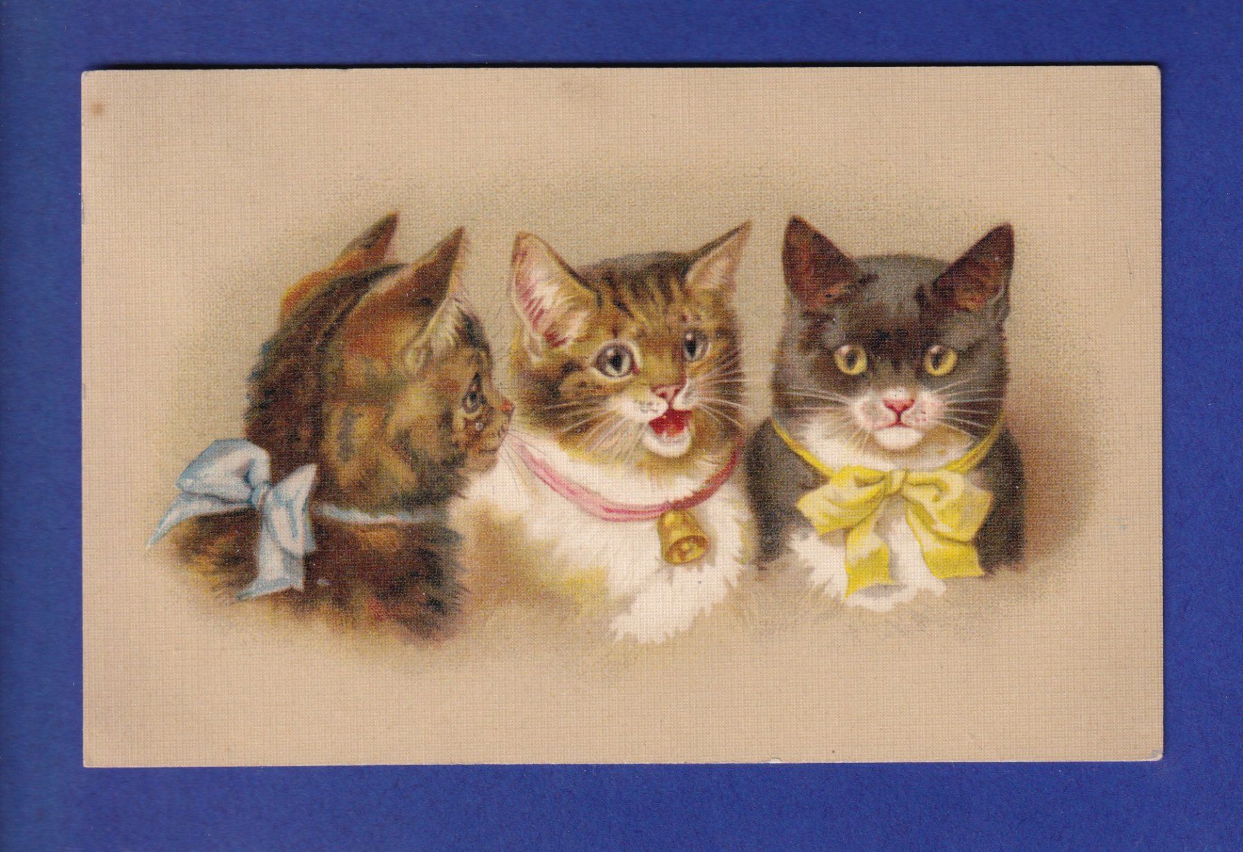 Cartoline postali: CHAT - 3 chats – Usato da Pully venduto da nicecards-shop