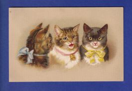 CHAT - 3 chats