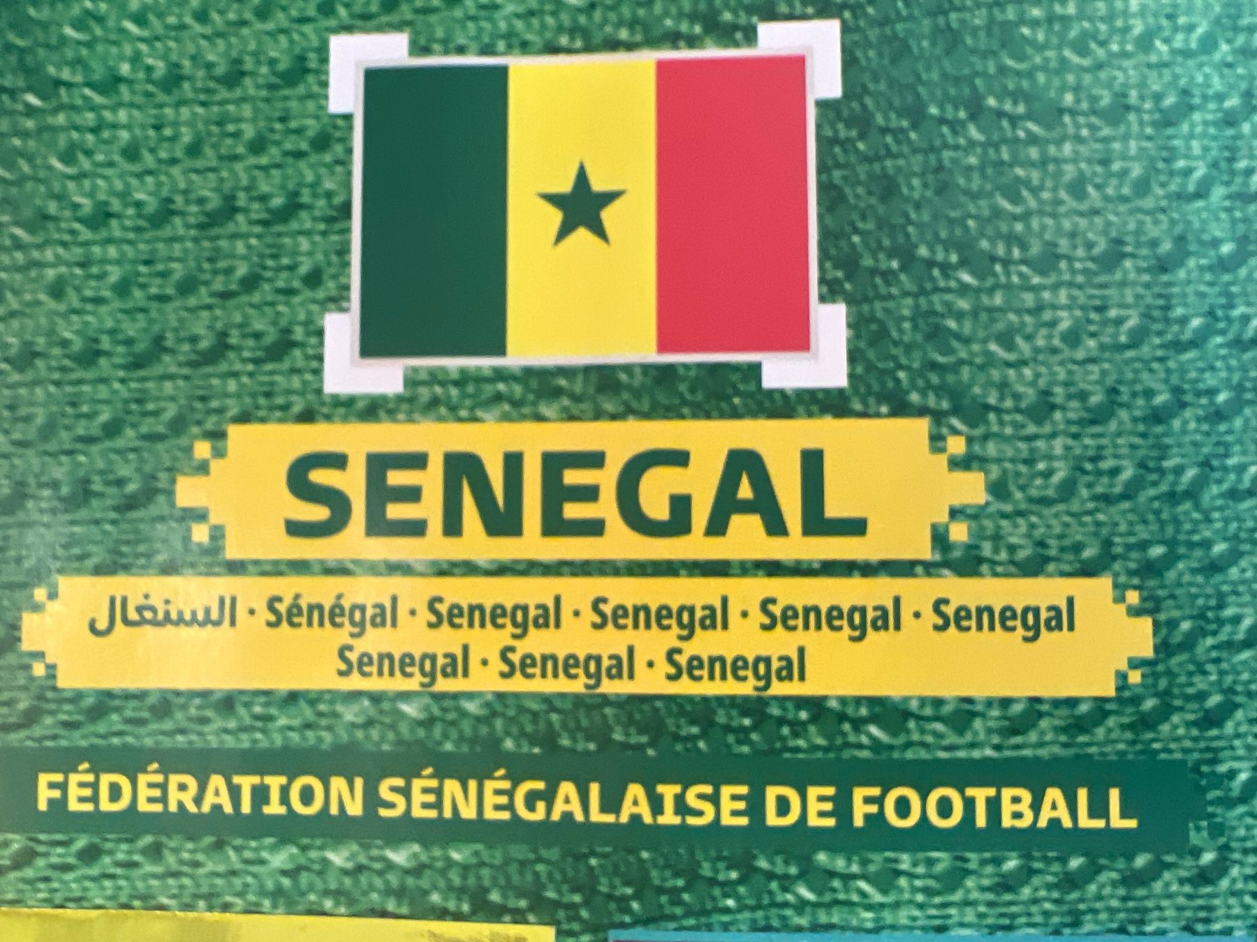 Panini Carte collezionabili: Panini Qatar 2022 Oryx Edition Senegal – Nuovo (secondo la descrizione) da Dietikon venduto da Emoruk 2