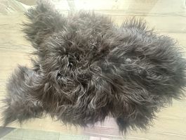 Original Schaffell echt schwarz Langhaarig ca 100 cm lang
