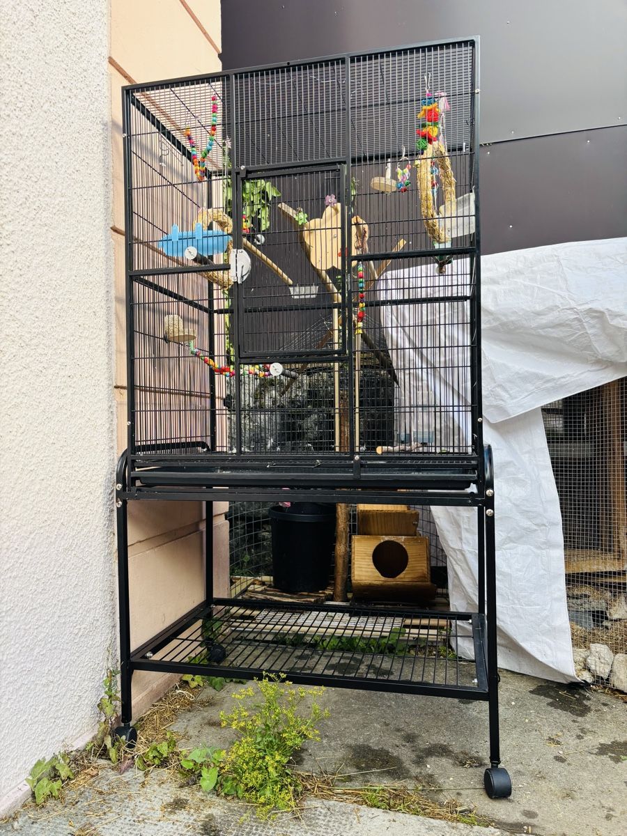 Gabbie, trasporto & Sicurezza: Grande cage oiseaux – Usato da LA HEUTTE venduto da Moonlightwater