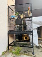 Grande cage oiseaux