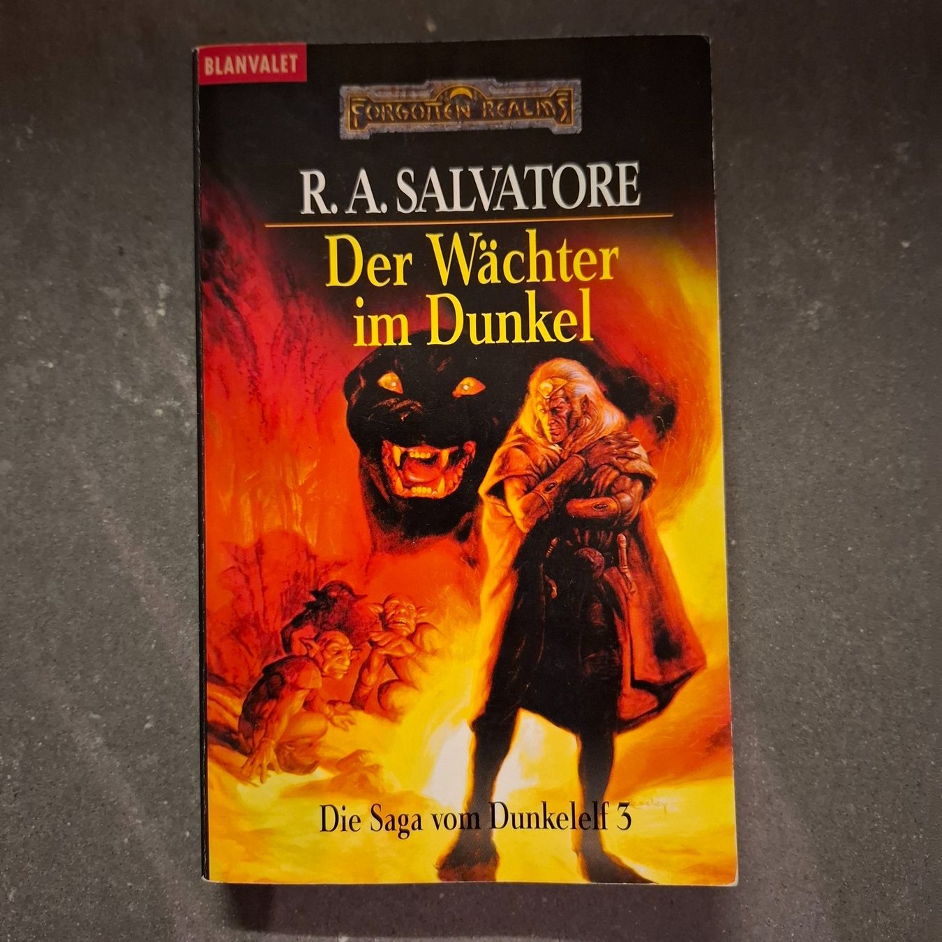 Libri: R. A. SALVATORE 'Der Wächter im Dunkel' – Usato da Hombrechtikon venduto da Tinea82