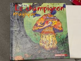 Livre enfant Le Champignon Magique grand format