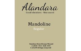 Saiten, Cordes, Strings - Mandoline (1 Set à 8 Saiten)