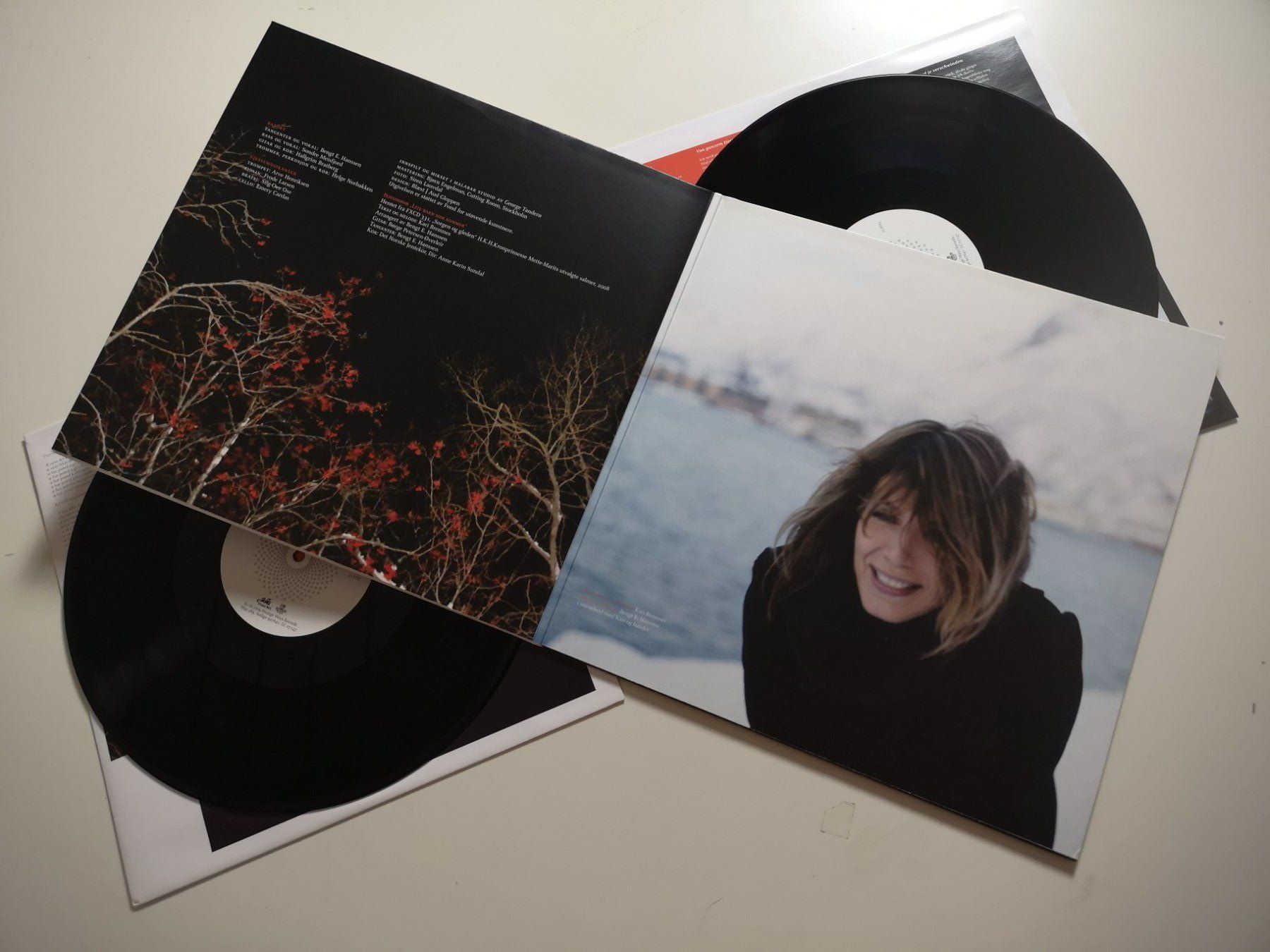 Dischi in vinile: Kari Bremnes – Ly – Nuovo (secondo la descrizione) da Grafenried venduto da House-of-Oldies 2