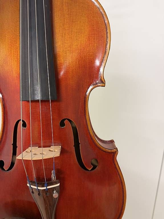 Strumenti musicali: Bratsche Viola – Usato da Roggwil BE venduto da M0002 2