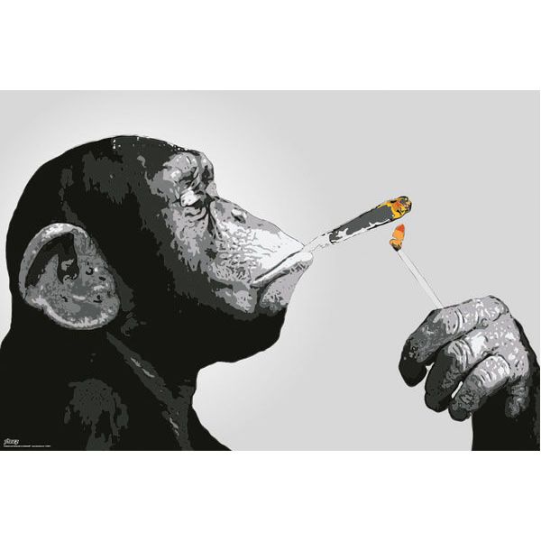 Foto & Immagini: Poster Steez Smoking – Nuovo e nell'imballaggio originale da Schwyz venduto da rs-trend