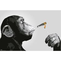 Poster Steez Smoking