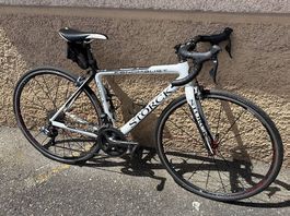 Storck Fenomalist Carbon  Shimano Ultegra Di2  Top Zustand