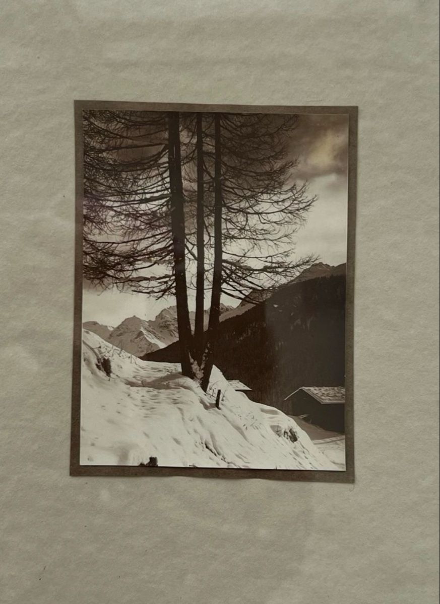 Foto & Immagini: Antiquarische Bergfotografie – Usato da Rain venduto da Pic-Ass