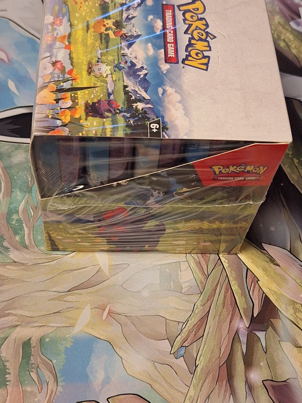 Pokémon Sammelbilder & Trading cards: Pokemon Ascended Heroes Tin Display Sealed – Neu und originalverpackt aus Küsnacht ZH von nichuu 4