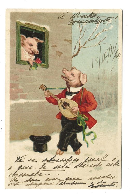 Humor - vermenschlichtes Schwein - Lied | Kaufen auf Ricardo