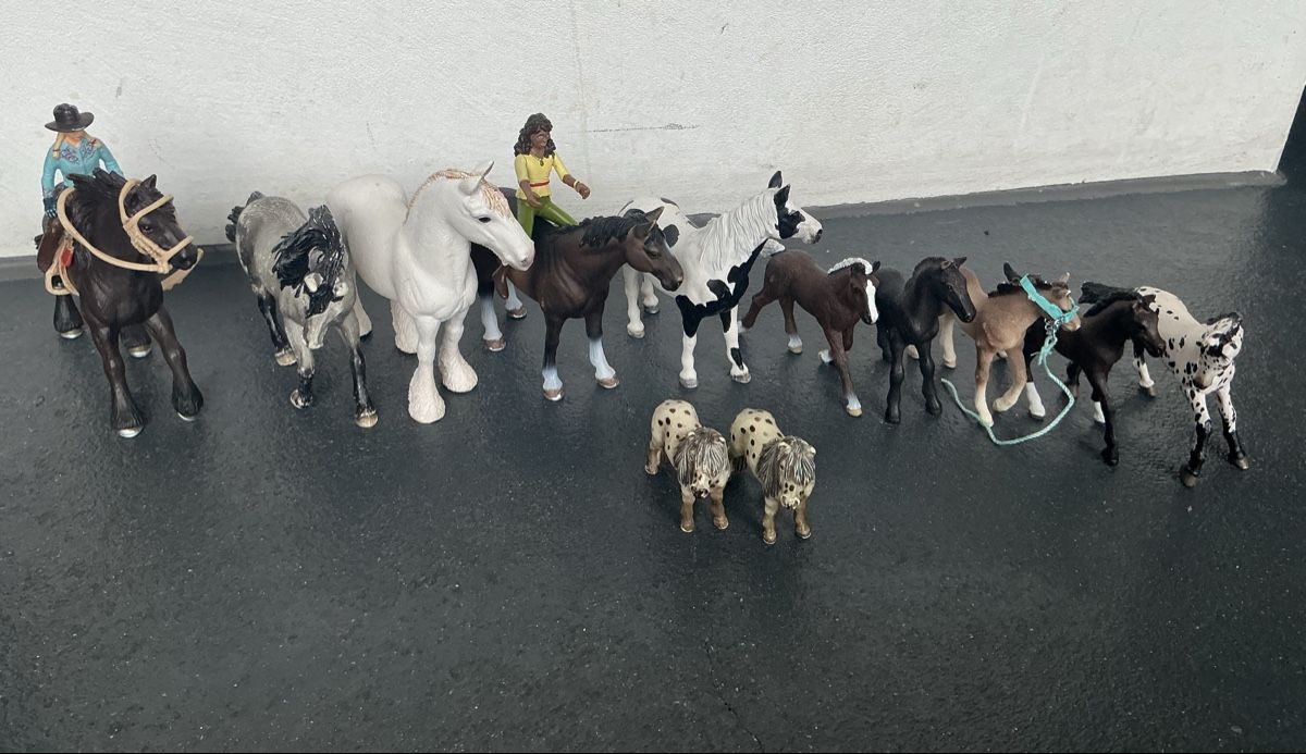 Schleich Giocattoli: Schleich – Usato da Kreuzlingen venduto da Sole2012 2