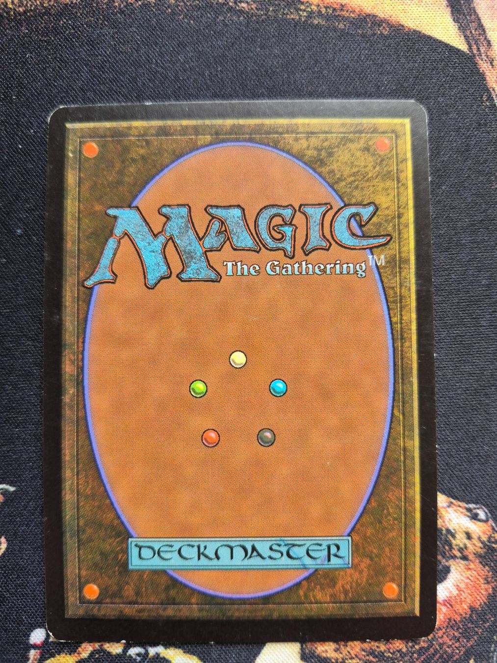 Magic The Gathering Sammelbilder & Trading cards: Windswept heath – Gebraucht aus Gampelen von sebest95 1