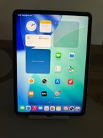 iPad Pro (11 Zoll, 1Generation) 256GB