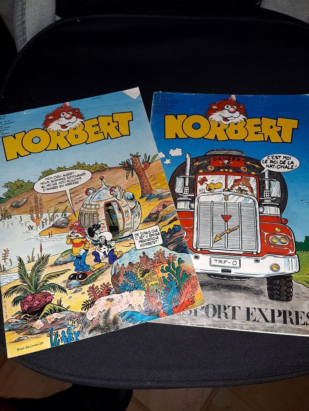 Comics: Lot de 2 petit livret norbert – Gebraucht aus Le locle von juliensaran