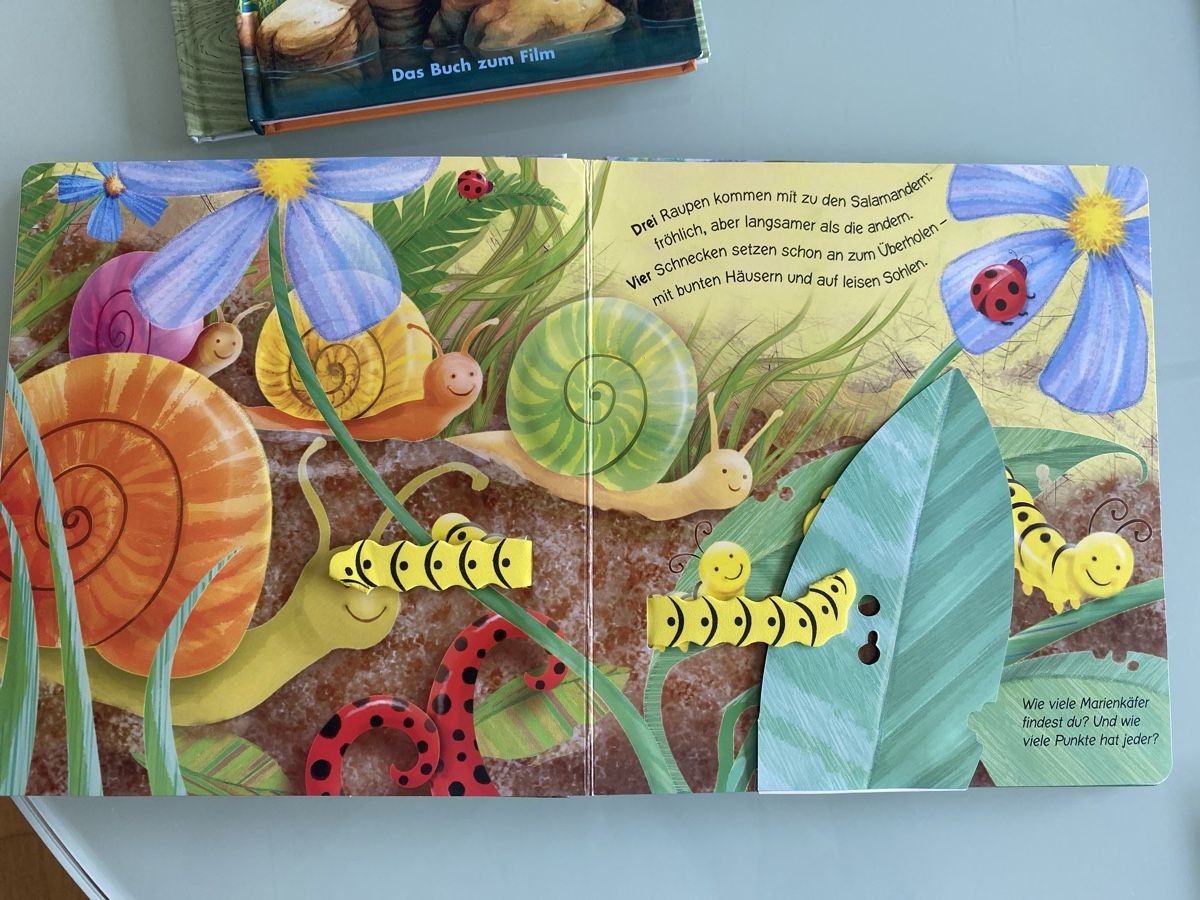 Libri: Pop-up Buch "Auf dem Salamander-Felsen" – Usato da Schmerikon venduto da SwissKFO 3