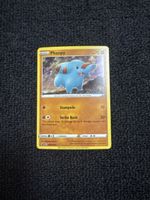 Phanpy #SWSH117 Pokemon Promo