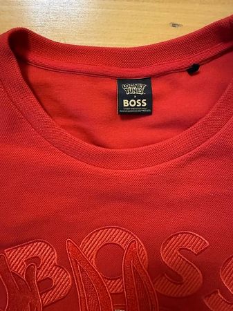 Hugo Boss Hoddie