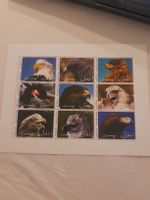 Bloc de 9 timbres d'Afghanistan - oiseaux de proie!