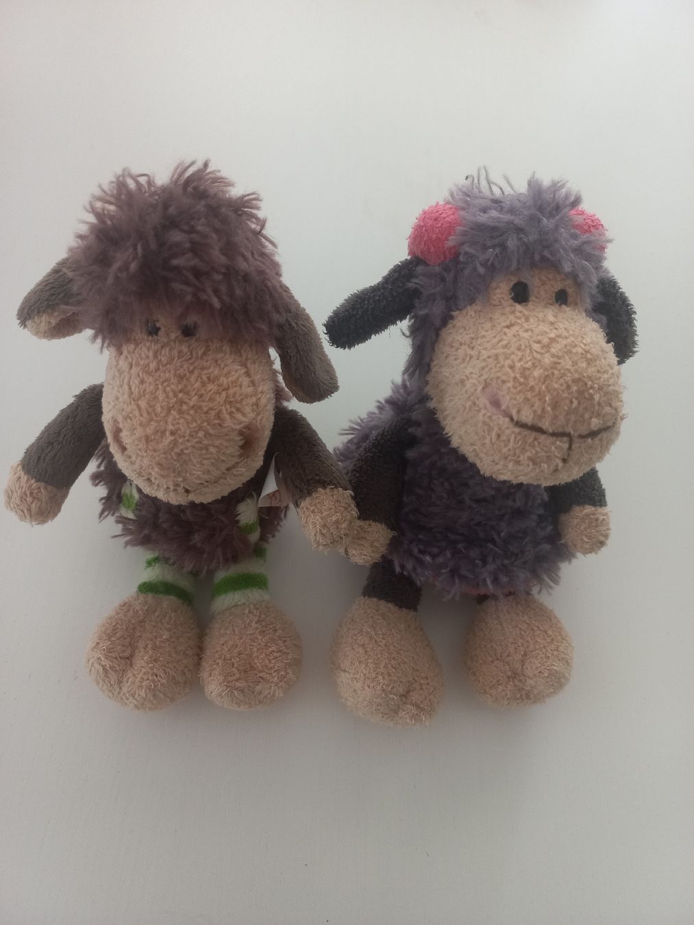 Nici Giocattoli: NICI Schafe - Duo – Usato da Wangen b. Olten venduto da SecondStory4u