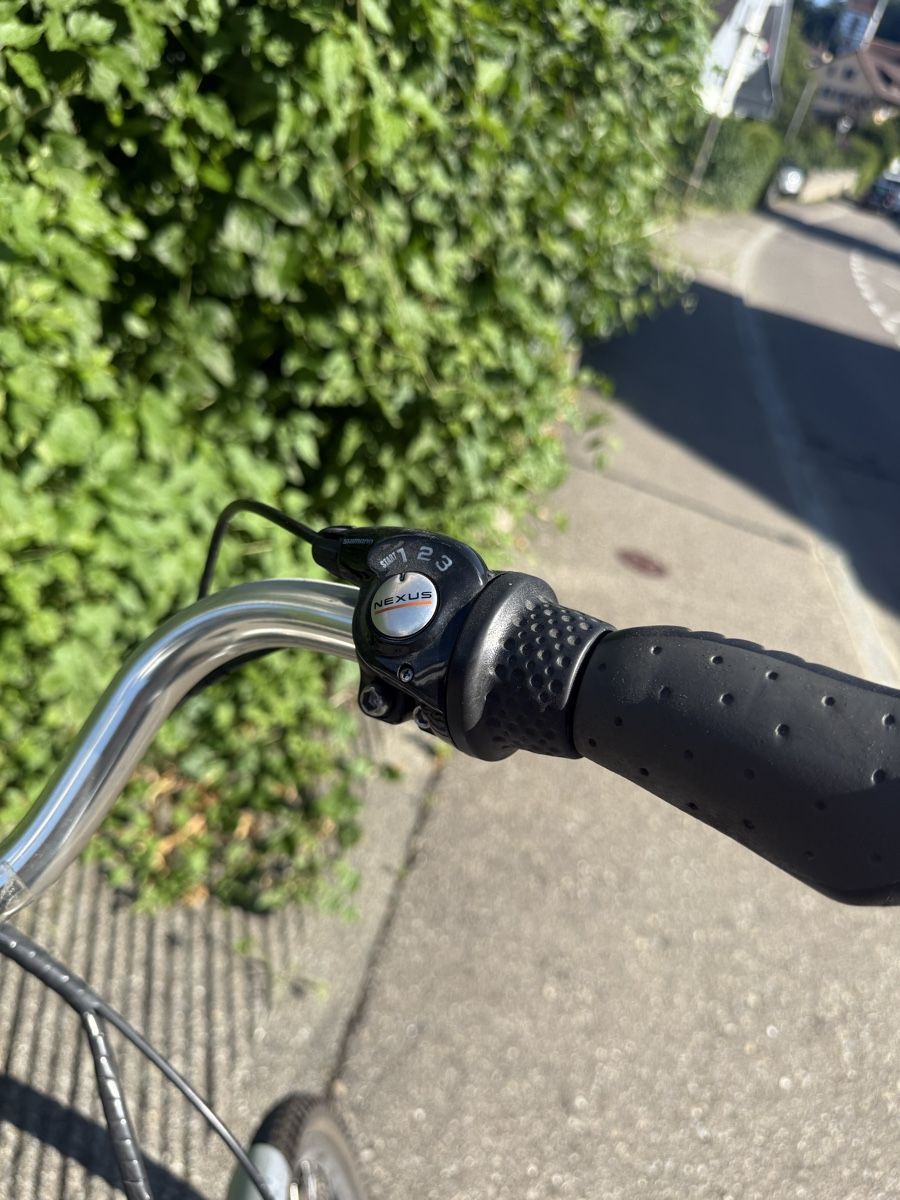 Velos: Bike2 E-Bike  – Defekt aus Steinmaur von Bal-Rajmi1 5