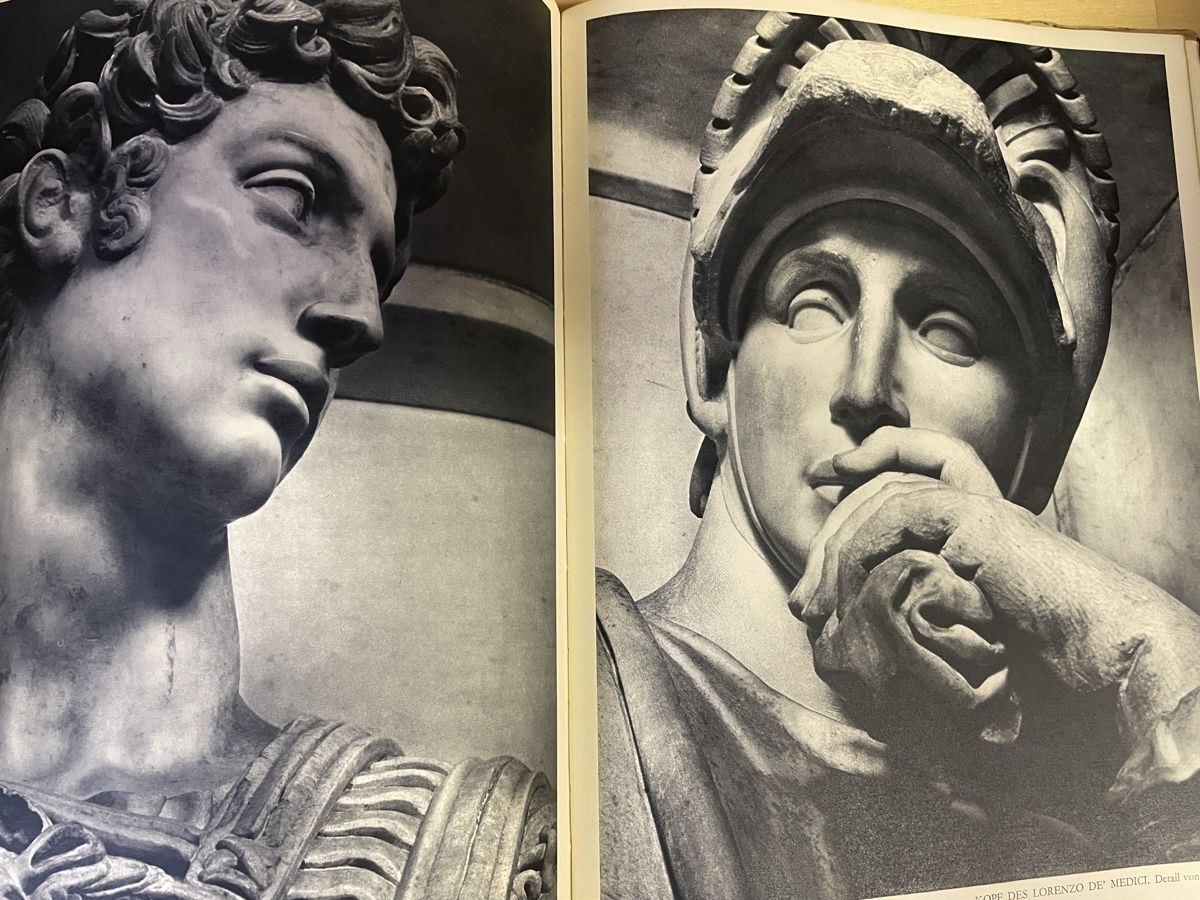 Libri: Michelangelo - Vollständige Ausgabe, Goldscheider – Usato da Wyssachen venduto da Hahe89 8