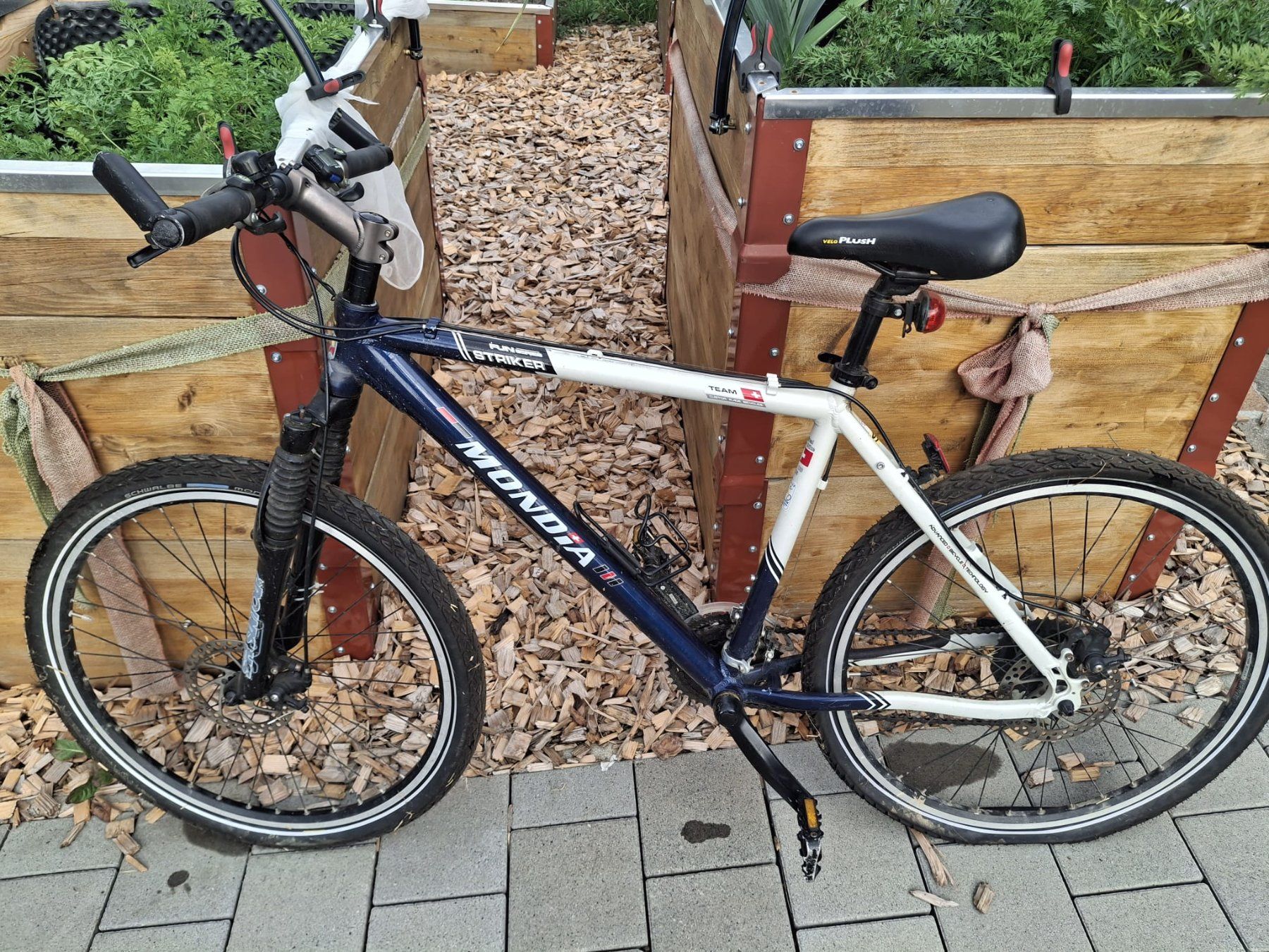 Mondia Biciclette: Mondia Future Striker Mountainbike – Usato da Zeglingen venduto da _CraZy_AngeL