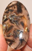 Cabochon L-5666 – Stick Achat 51x29x6mm 79,70 Karat