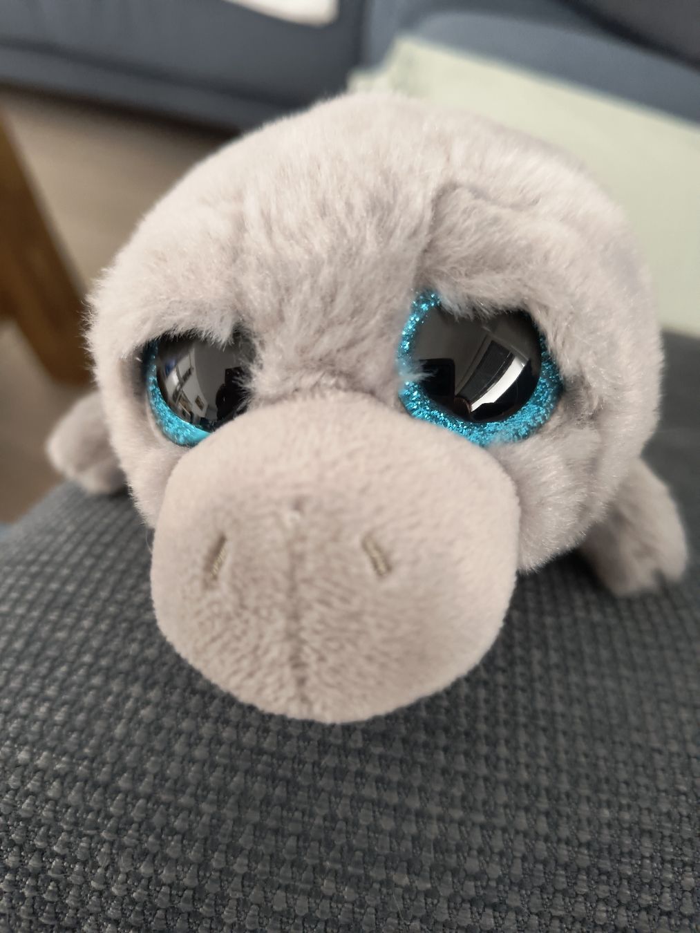 Giocattoli: Plüsch Seehund Ty Beanie Boos – Usato da Schöfflisdorf venduto da kin_2dp9 3