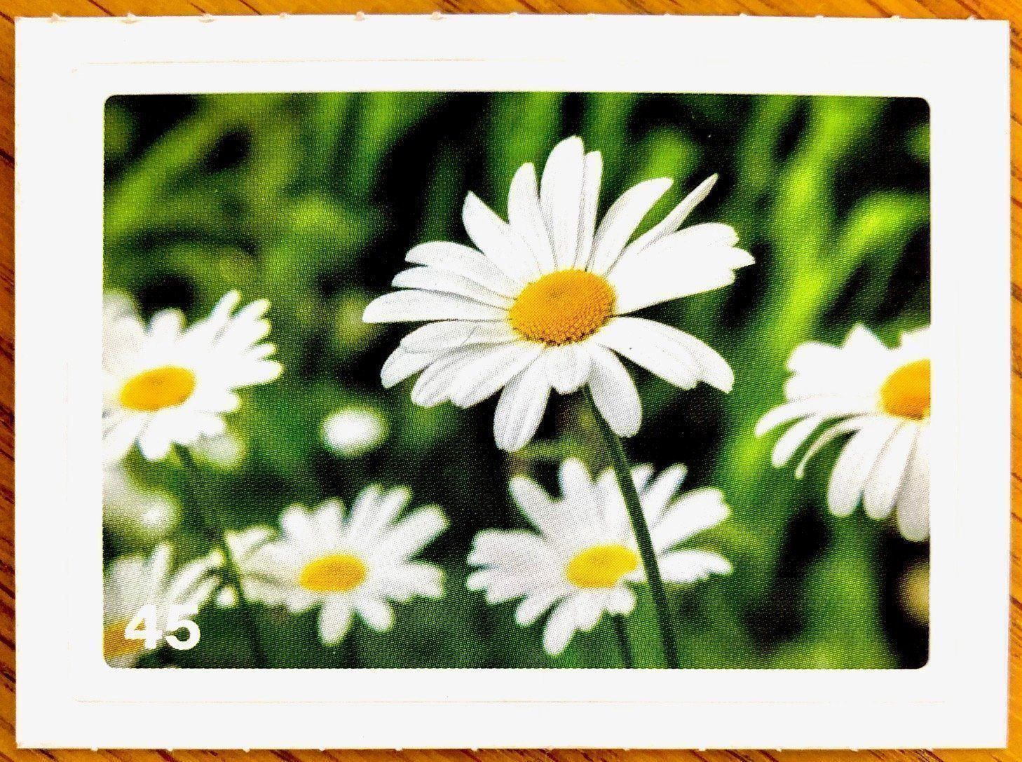 Migros Carte collezionabili: Migros Nature Detectives - Bild Nr. 45 – Nuovo (secondo la descrizione) da Oberrieden venduto da Zimmerberg10