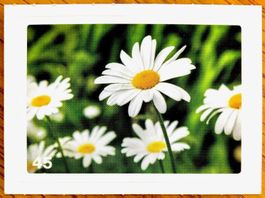 Migros Nature Detectives - Bild Nr. 45