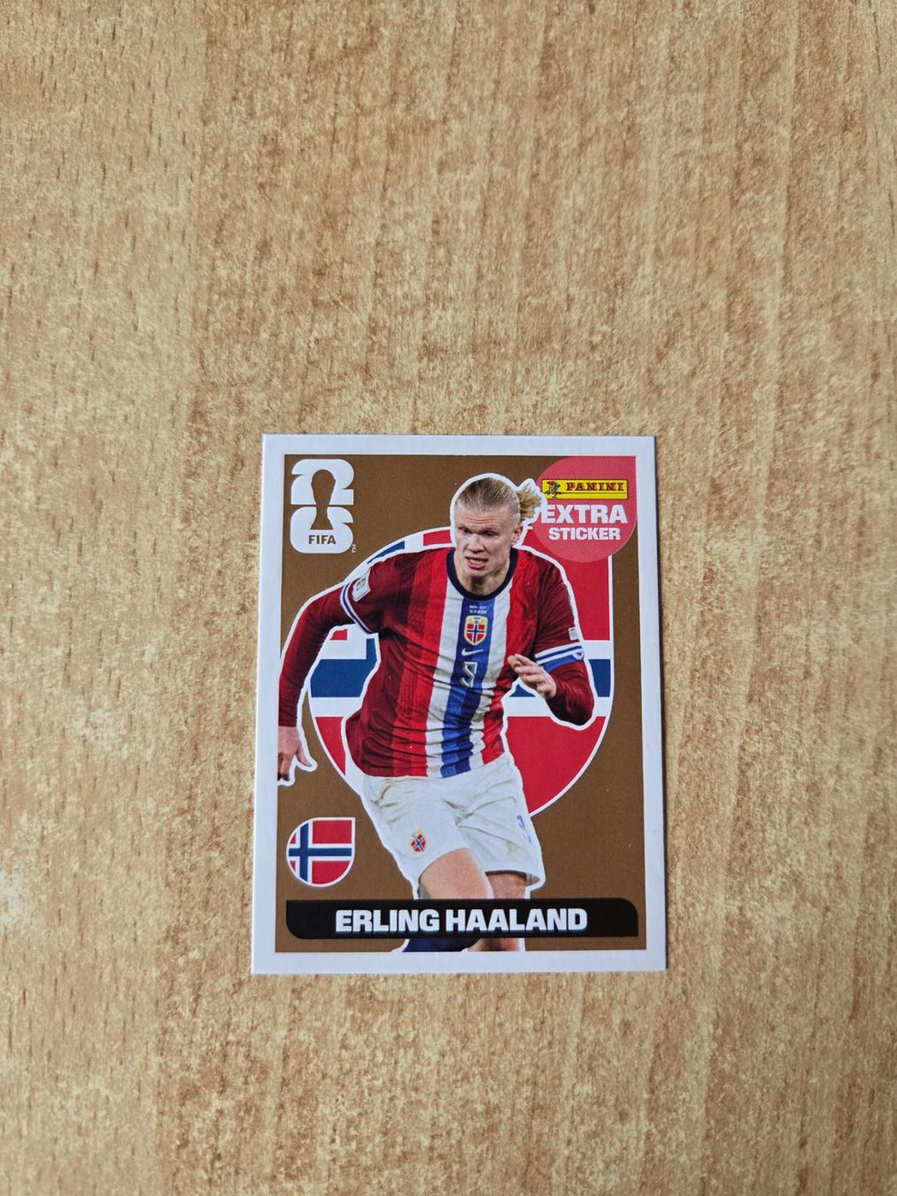 Panini Carte collezionabili: Panini Haaland extra bronze NM – Nuovo (secondo la descrizione) da Romoos venduto da Raf_65zw