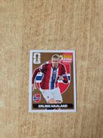 Panini Haaland extra bronze NM