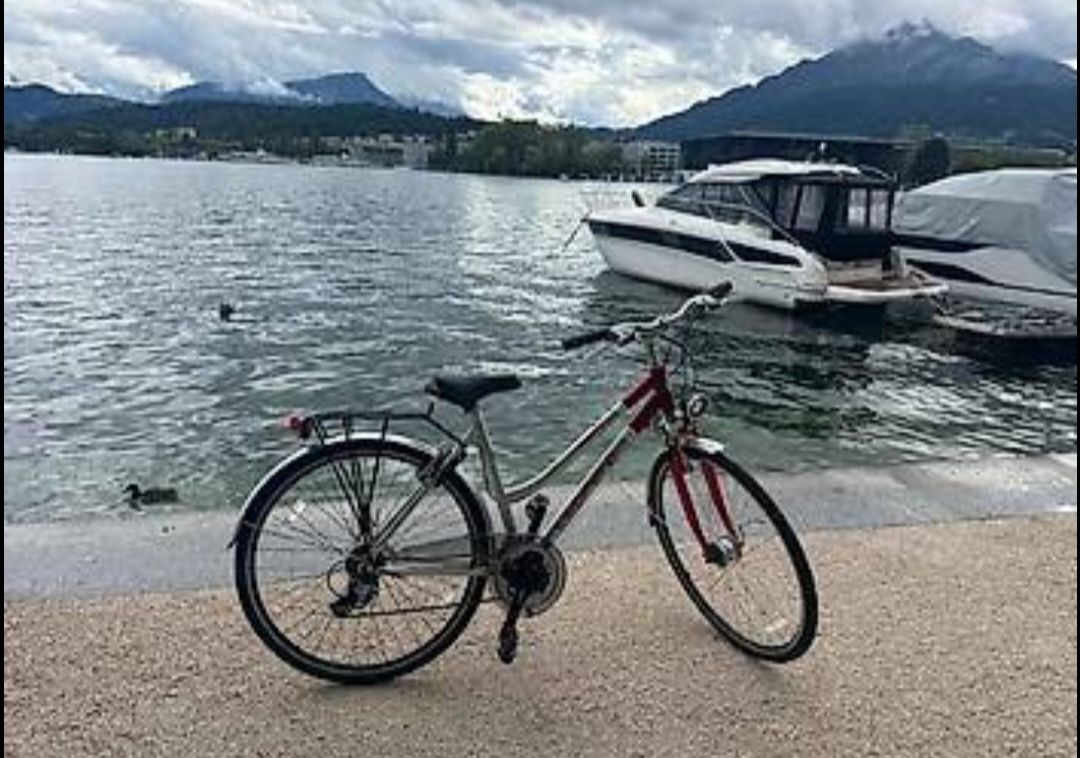 Leopard Biciclette: Leopard Trekking Cat  Gebraucht zu verkaufen – Nuovo (secondo la descrizione) da Luzern venduto da goz_m72b 1