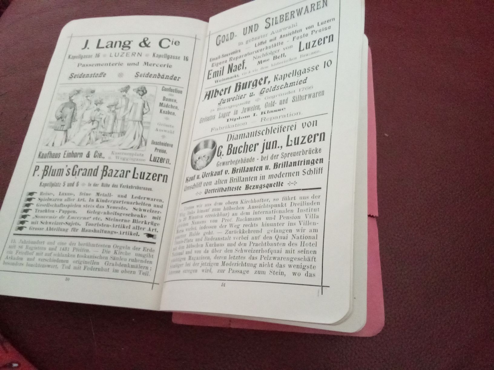 Libri: DER GLETSCHER-GARTEN LUZERN UM 1910 – Usato da Muri BE venduto da Alk 5