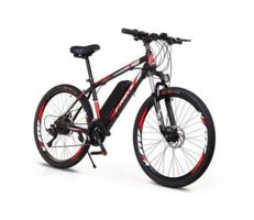 E-Bike FRIKE 250 TURBO *25 Km/h*