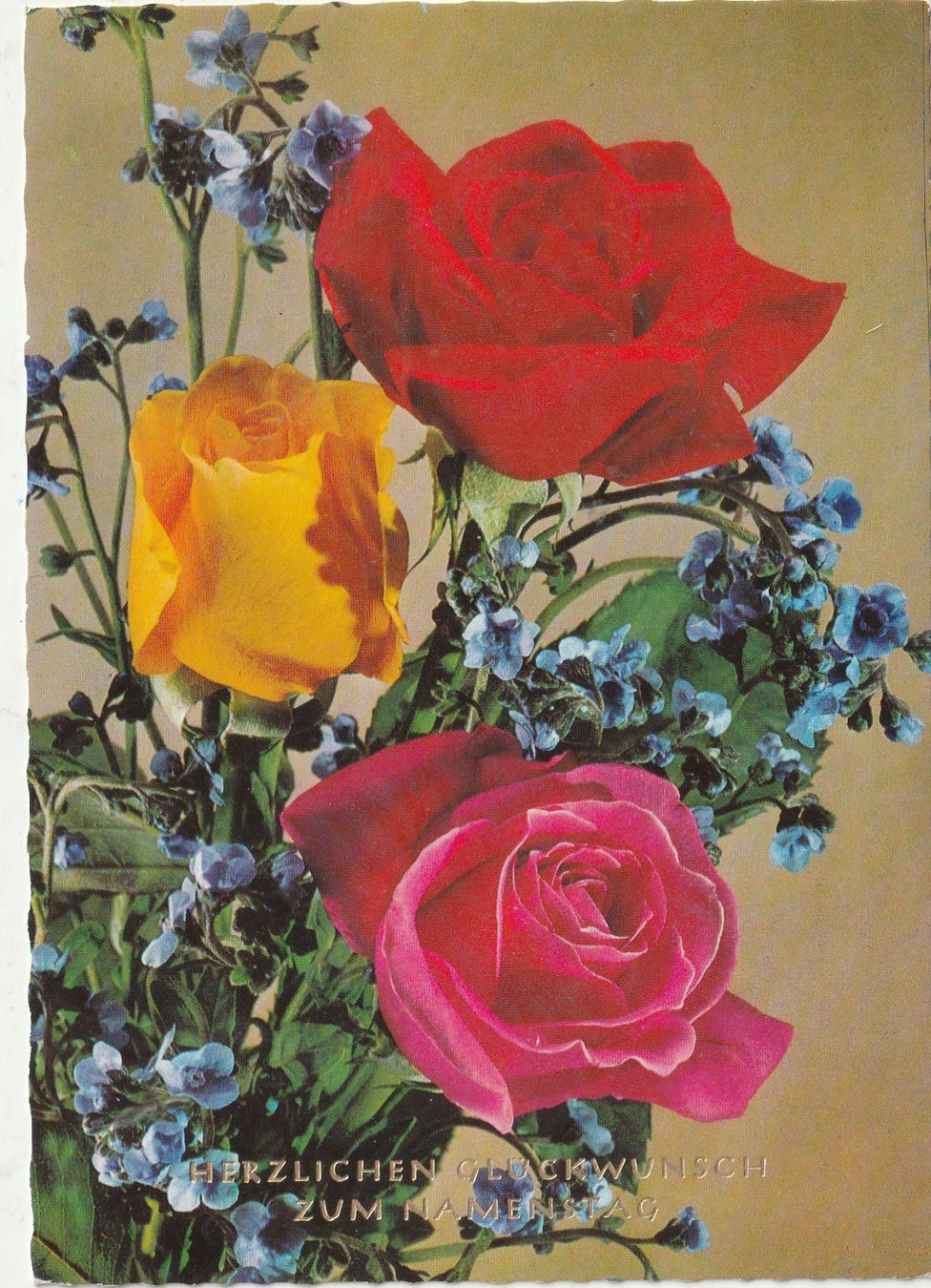 Cartoline postali: Blumen-Grusskarte – Usato da Lumbrein venduto da made02