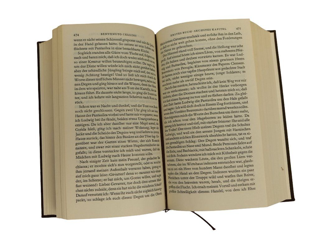 Libri: GOETHE ÜBERTRAGUNGEN Band 15 – Usato da Hünenberg venduto da Restwert_Zug 3