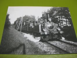 Repro Dampfzug Südostbahn SOB
