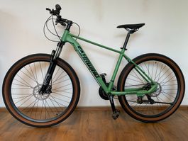29 Zoll Mountainbike Aluminium 21-Gang GRÜN NEU