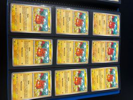 Pokemon Kartensammlung