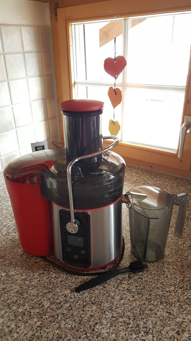 Elettrodomestici da cucina: Saft- und Smoothiemaschine – Usato da Sumvitg venduto da scrotta