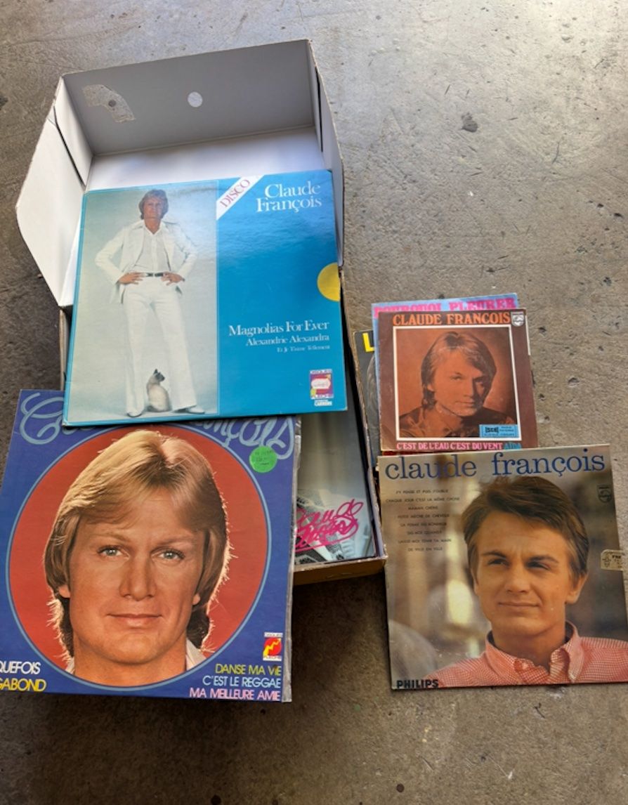 Schallplatten: vinyles – Gebraucht aus chatonnaye von lebizu 7